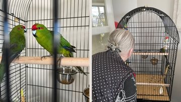 North Shields care home welcomes feathered friends
